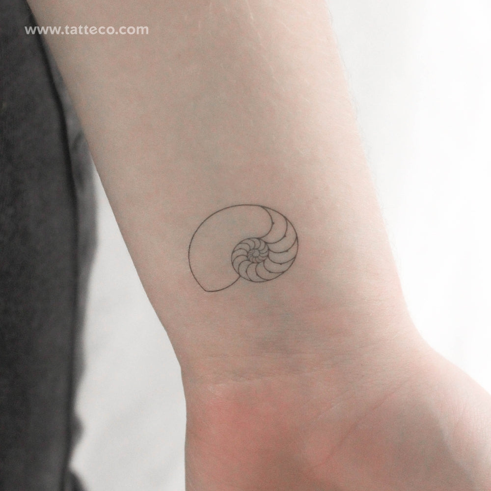 Tatuaje temporal de concha de nautilus - Juego de 3