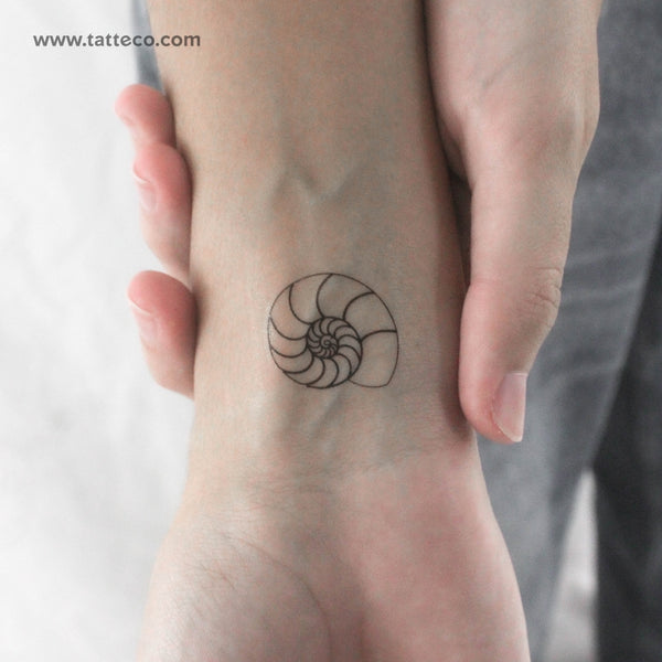 Ammonite Shell Temporary Tattoo - Set of 3