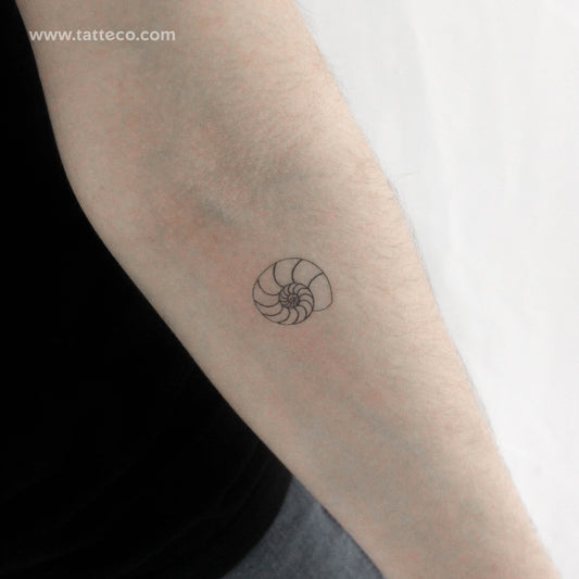 Tatuaje temporal de concha de amonita - Juego de 3