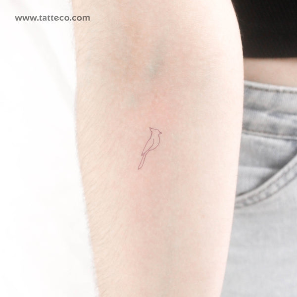 Fine Line Blue Jay Temporary Tattoo - Set of 3