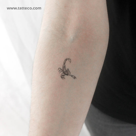 Tatuaje temporal de escorpión - Juego de 3