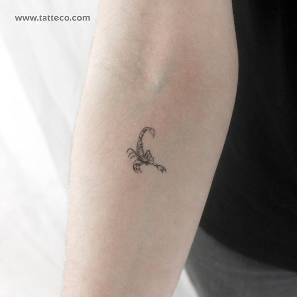 Scorpion Temporary Tattoo - Set of 3