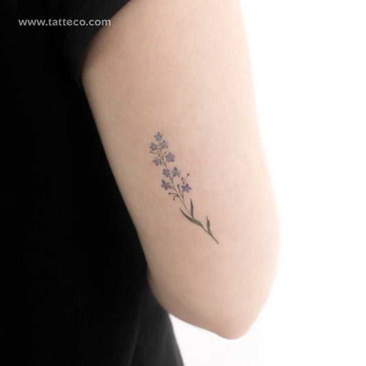 Tatuaje temporal de nomeolvides en acuarela (juego de 3)