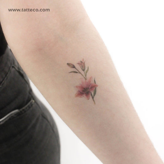 Lily Stargazer Temporary Tattoo - Set of 3