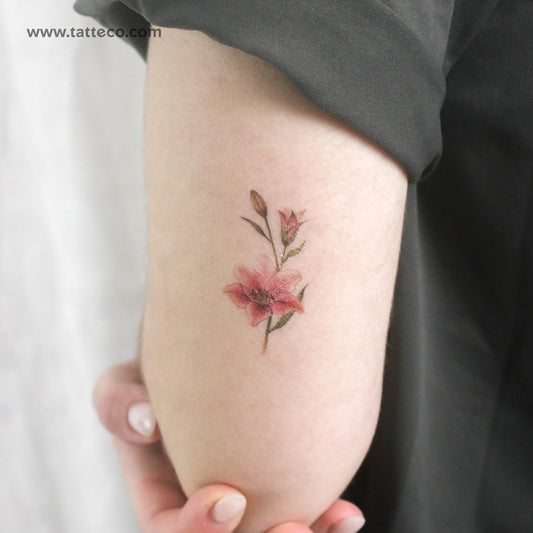Lily Stargazer Temporary Tattoo - Set of 3