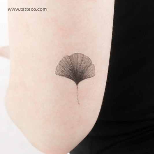 Tatuaje temporal de hoja de ginkgo (juego de 3)