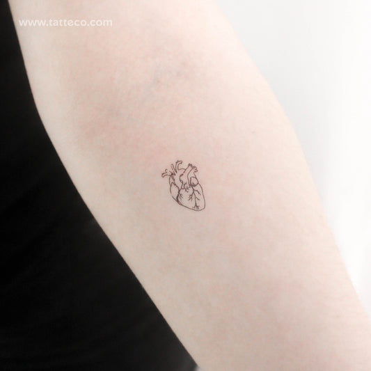 Tatuaje temporal de corazón anatómico pequeño (juego de 3)