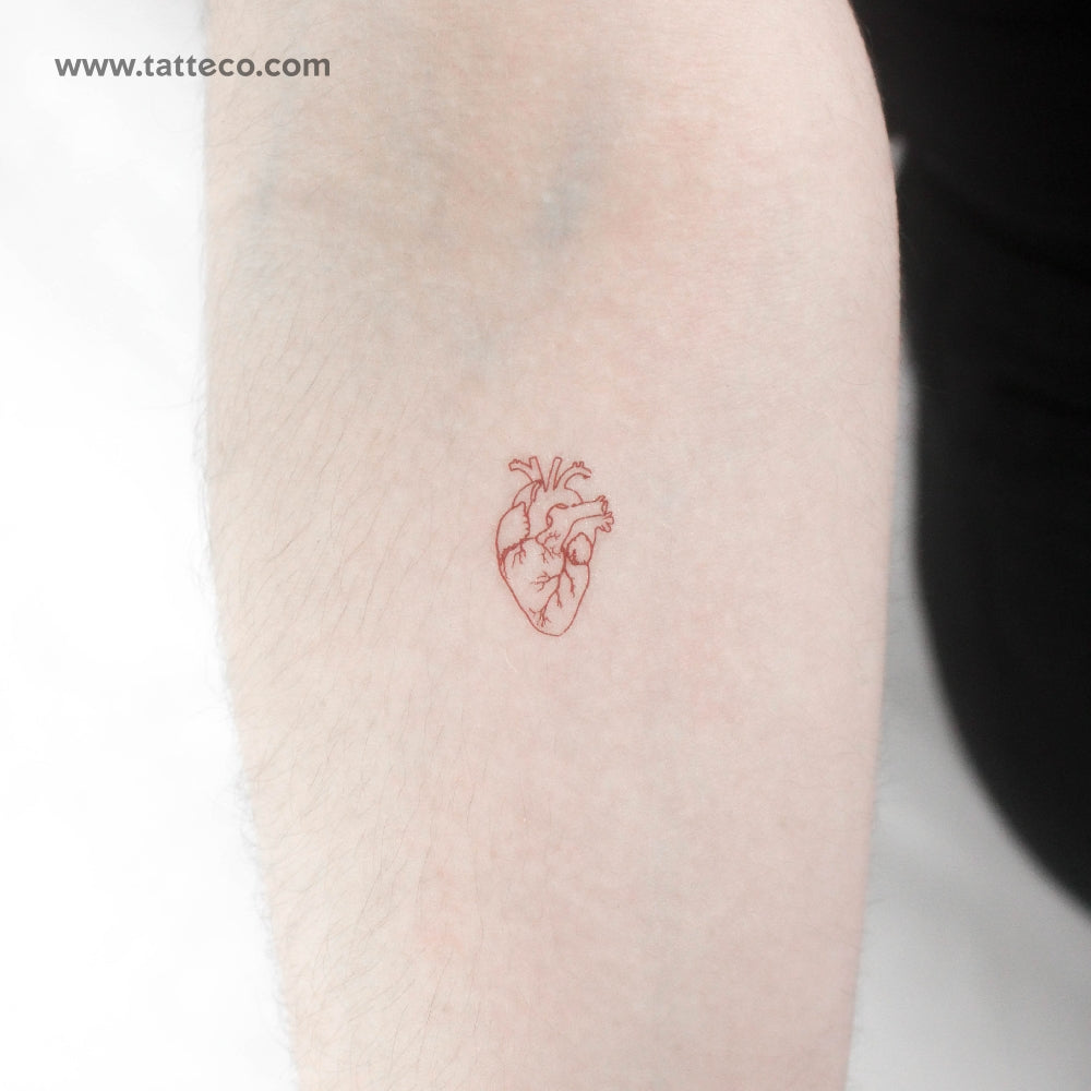Small Red Anatomical Heart Temporary Tattoo - Set of 3