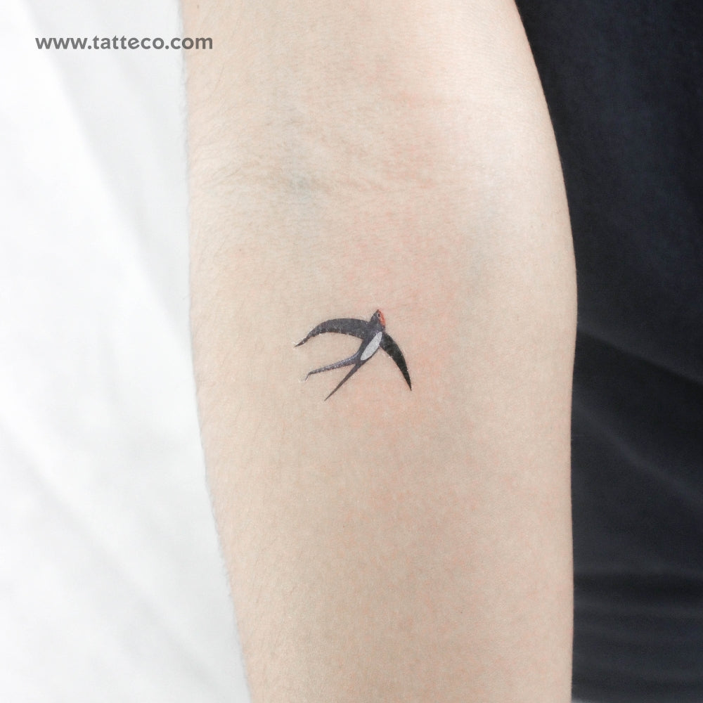 Swallow By Ann Lilya Temporary Tattoo - Set of 3