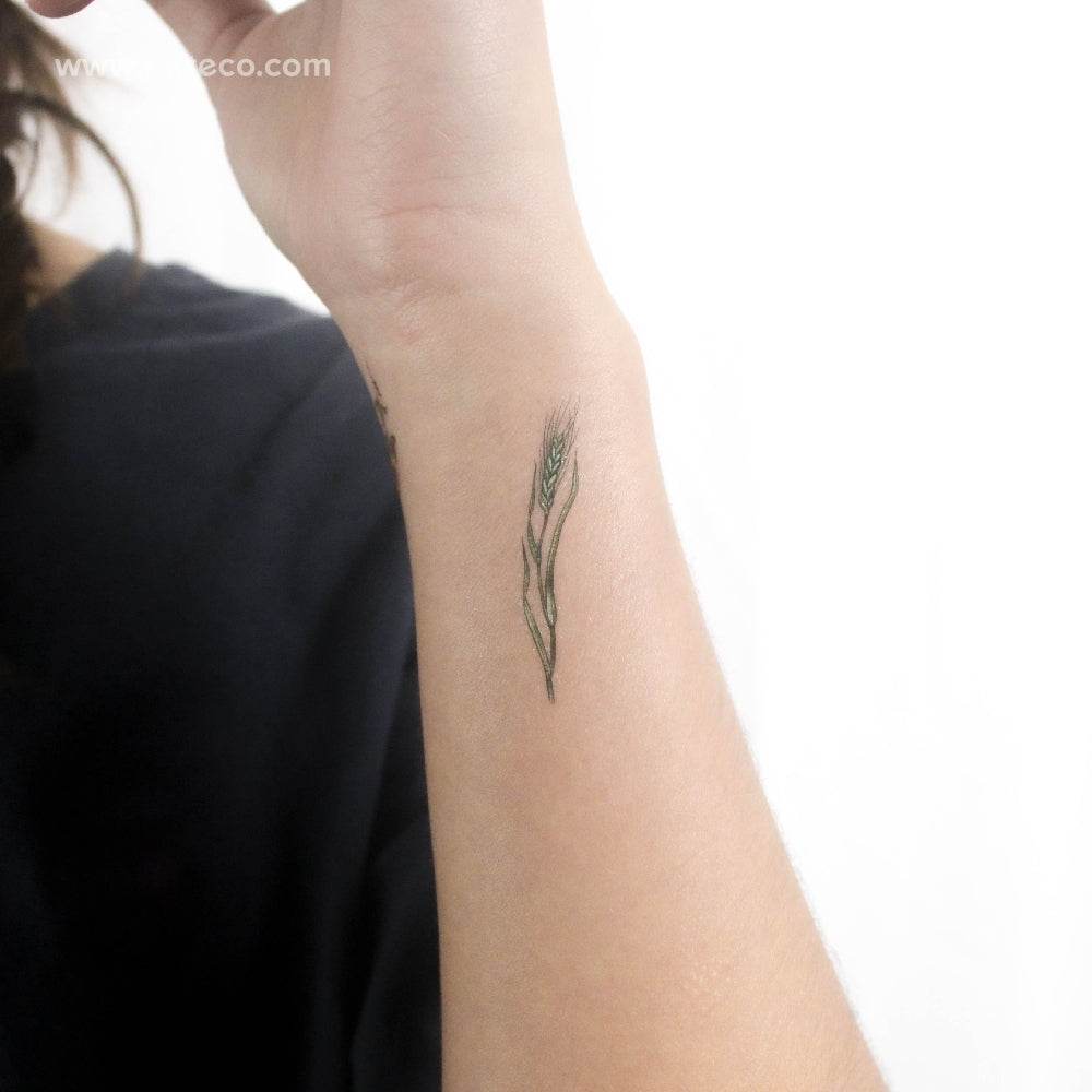 Small Green Wheat By Ann Lilya Temporary Tattoo - Set of 3