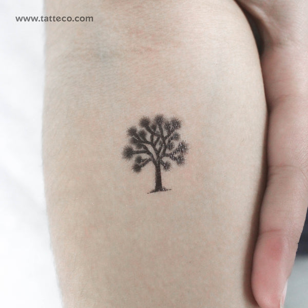 Joshua Tree Temporary Tattoo - Set of 3