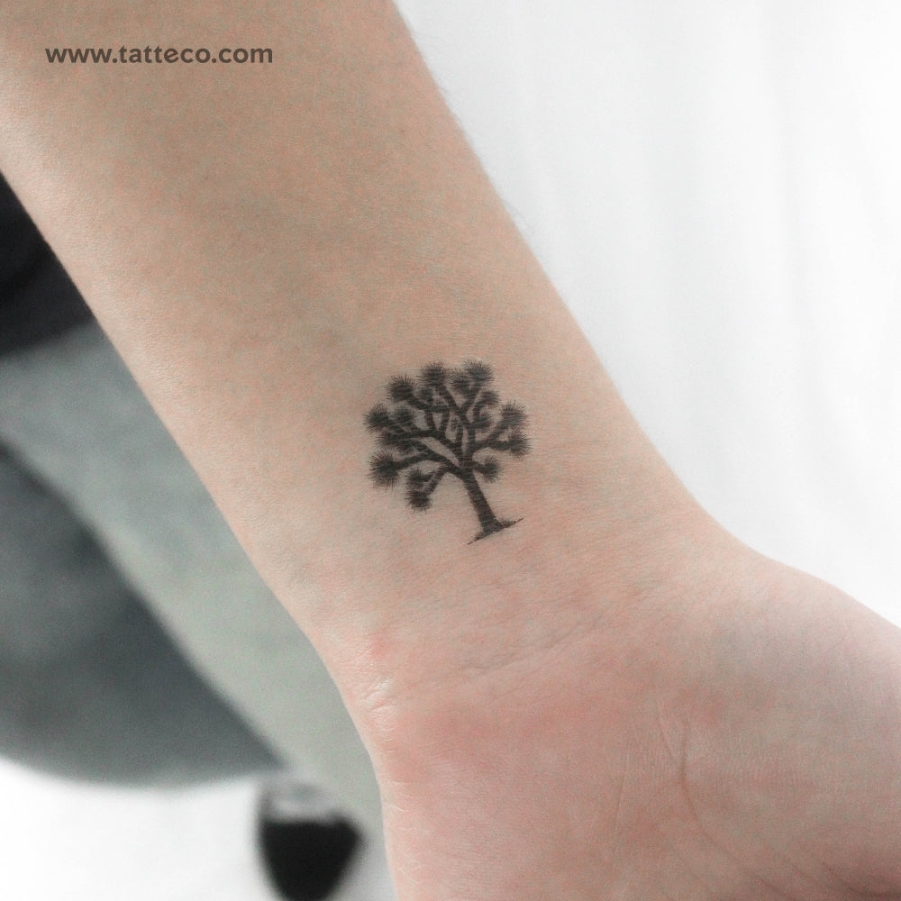 Joshua Tree Temporary Tattoo - Set of 3