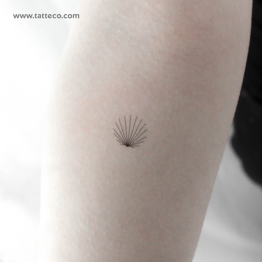 Tatuaje temporal de concha minimalista diminuta - Juego de 3