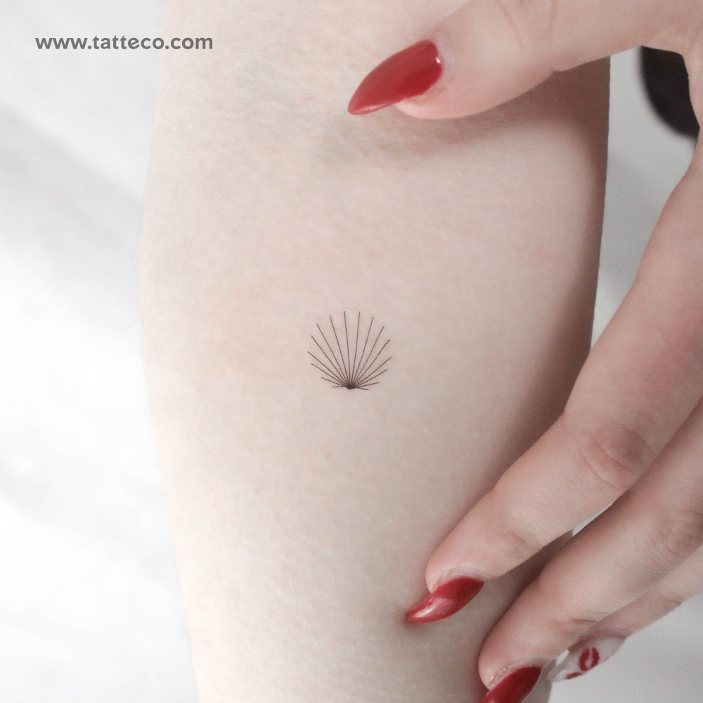 Tatuaje temporal de concha minimalista diminuta - Juego de 3