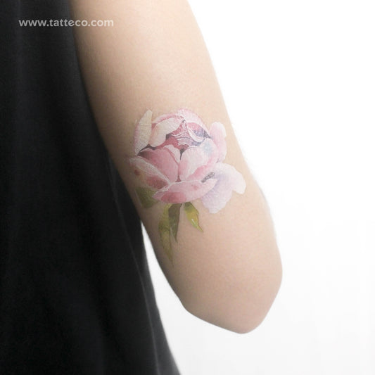 Light Pink Peony By Ann Lilya Temporary Tattoo - Set of 3