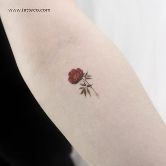 Tatuaje temporal de peonía granate (juego de 3)
