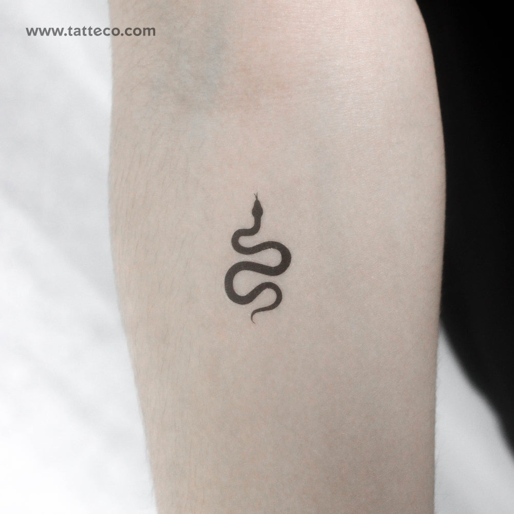 Tatuaje temporal de serpiente negra pequeña - Juego de 3