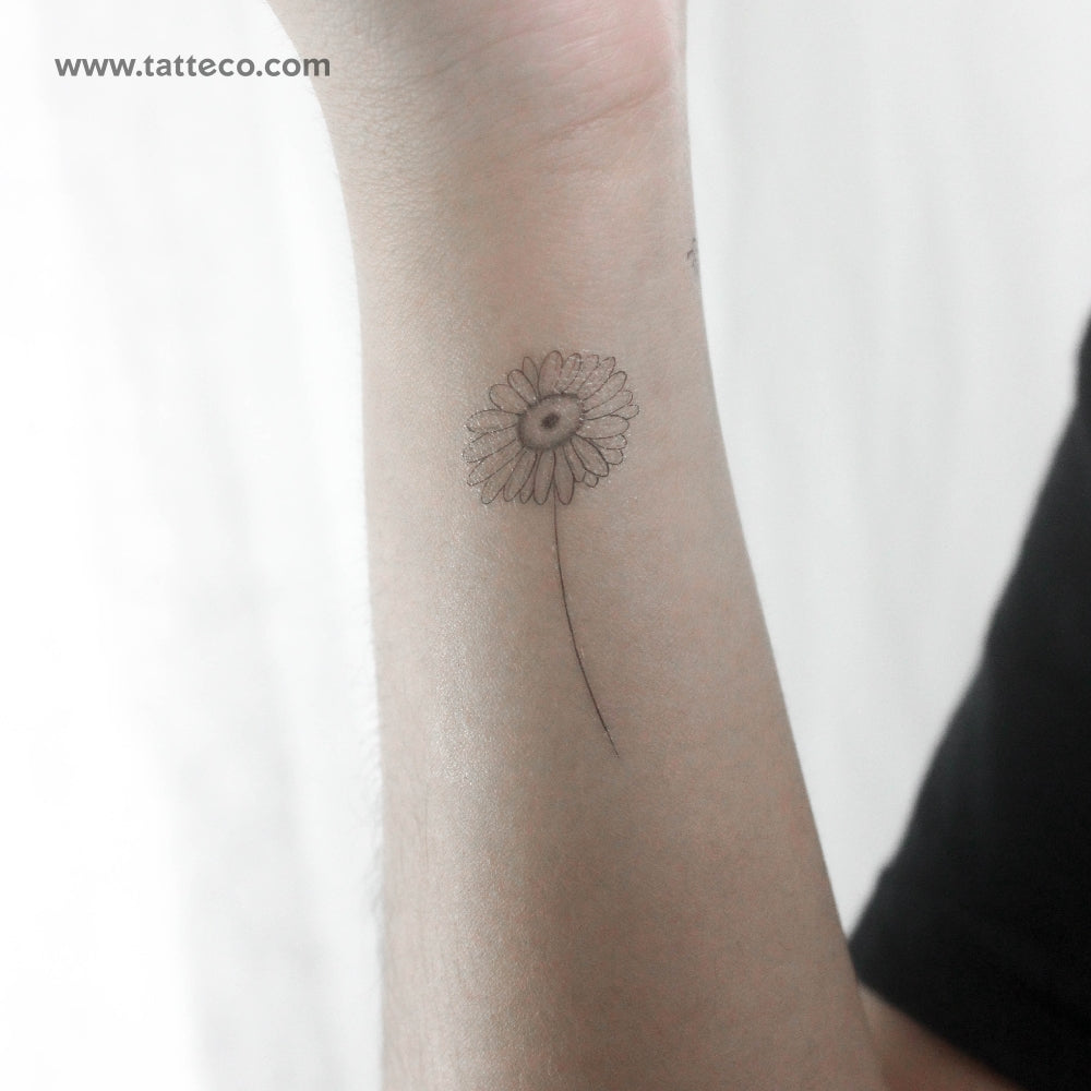 Tatuaje temporal de margarita de línea fina - Juego de 3