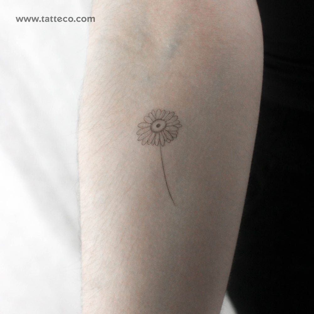 Tatuaje temporal de margarita de línea fina - Juego de 3