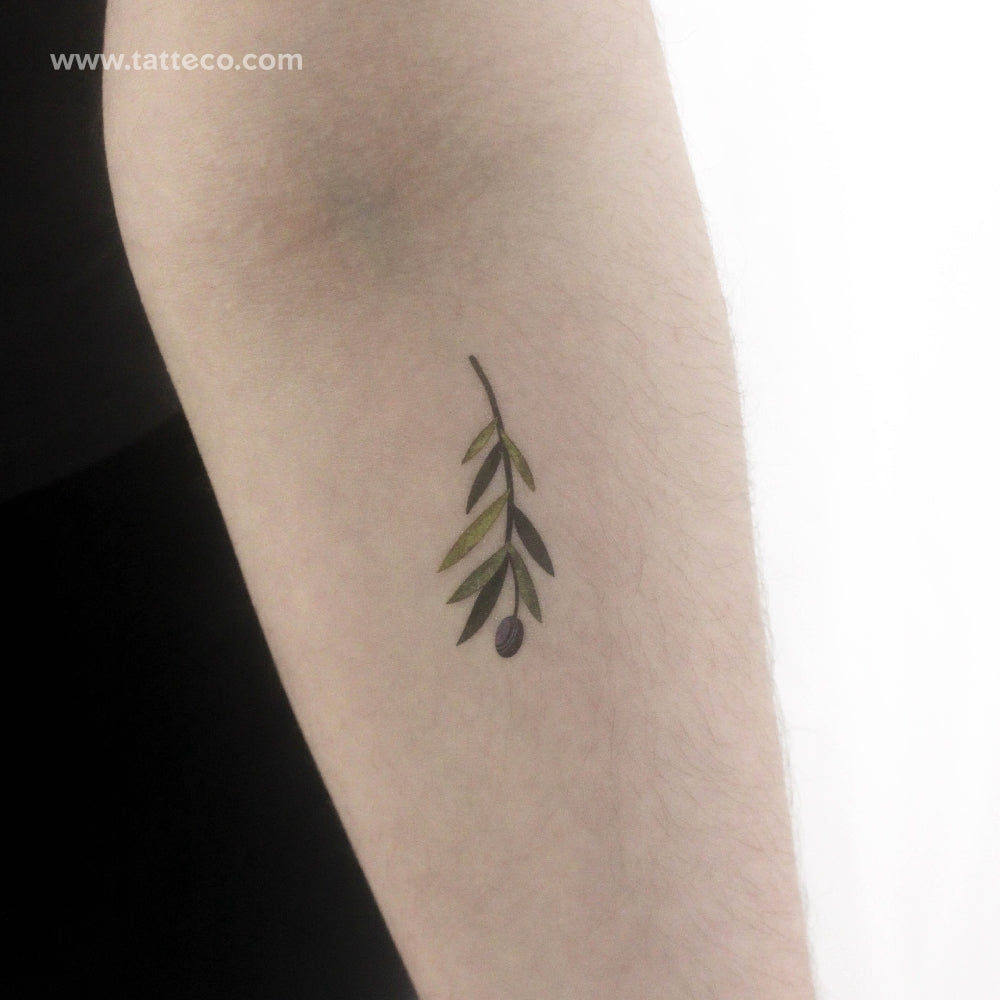 Small Olive Branch By Ann Lilya Temporary Tattoo - Set of 3