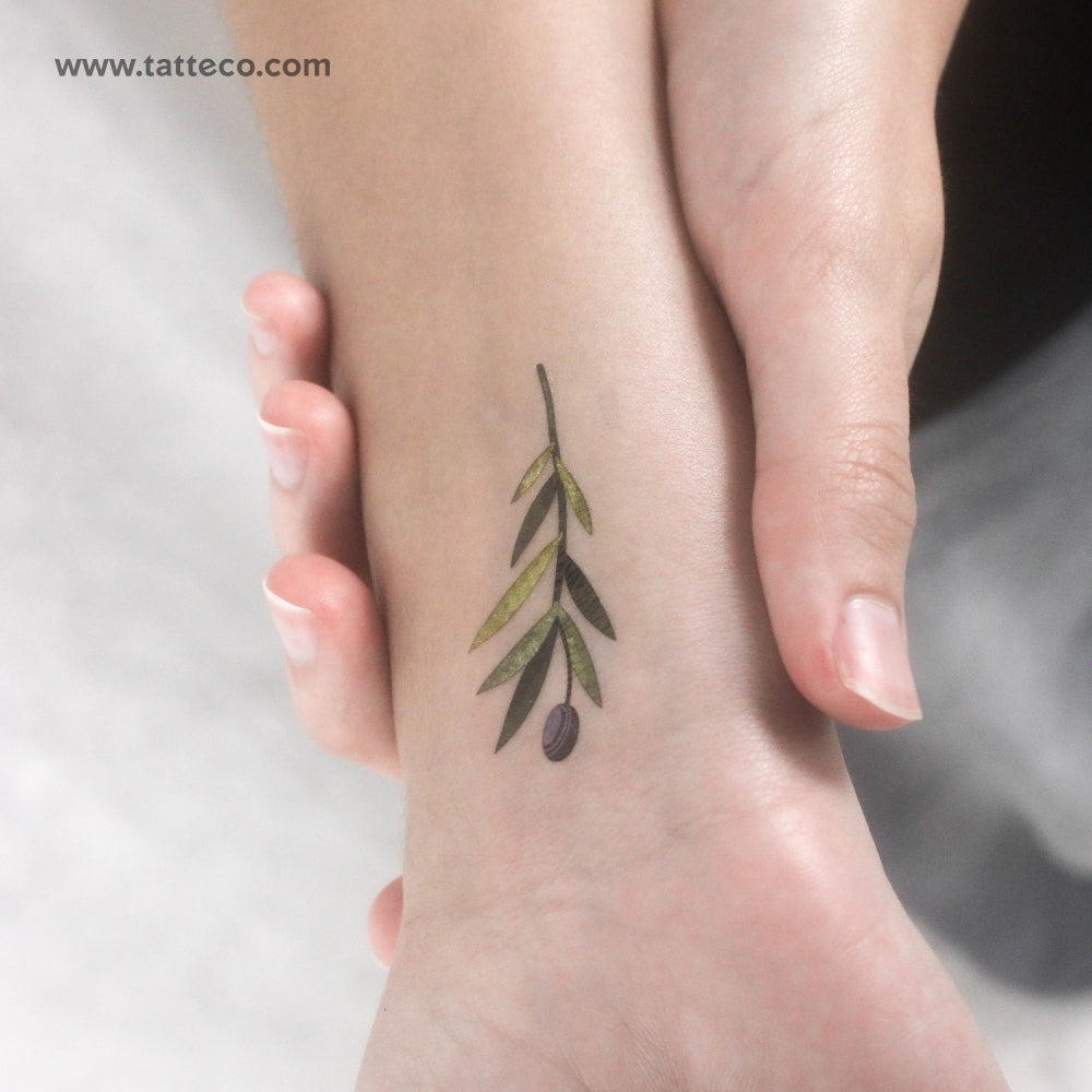 Small Olive Branch By Ann Lilya Temporary Tattoo - Set of 3