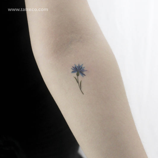 Little Cornflower By Ann Lilya Temporary Tattoo - Set of 3