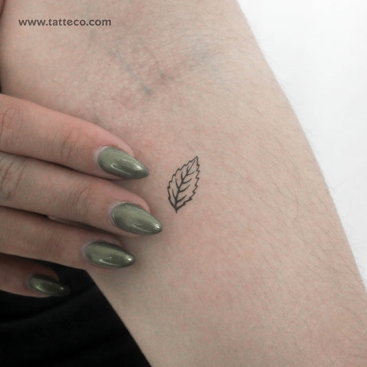 Mint Leaf Temporary Tattoo - Set of 3