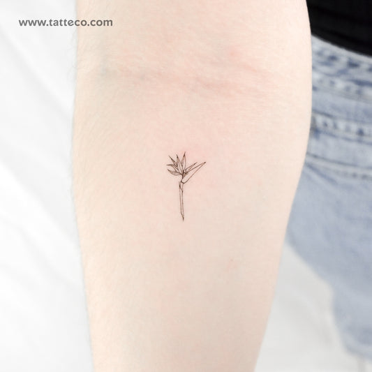 Tatuaje temporal de Strelitzia, ave del paraíso (juego de 3)