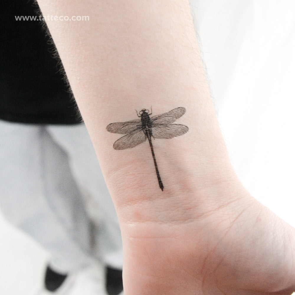 Small Illustrative Dragonfly Temporary Tattoo - Set of 3
