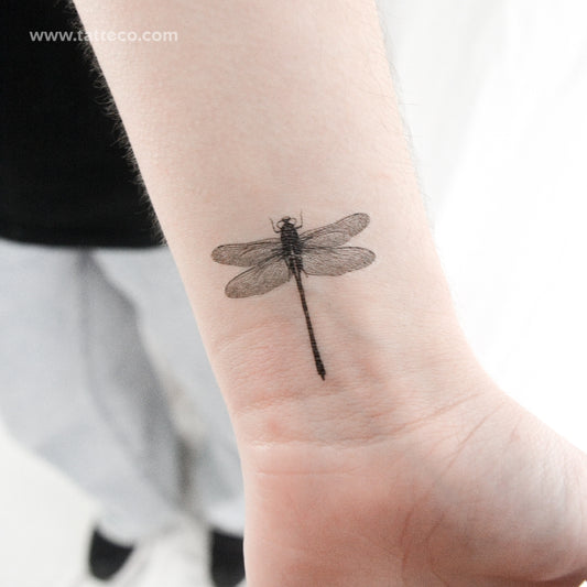 Small Illustrative Dragonfly Temporary Tattoo - Set of 3