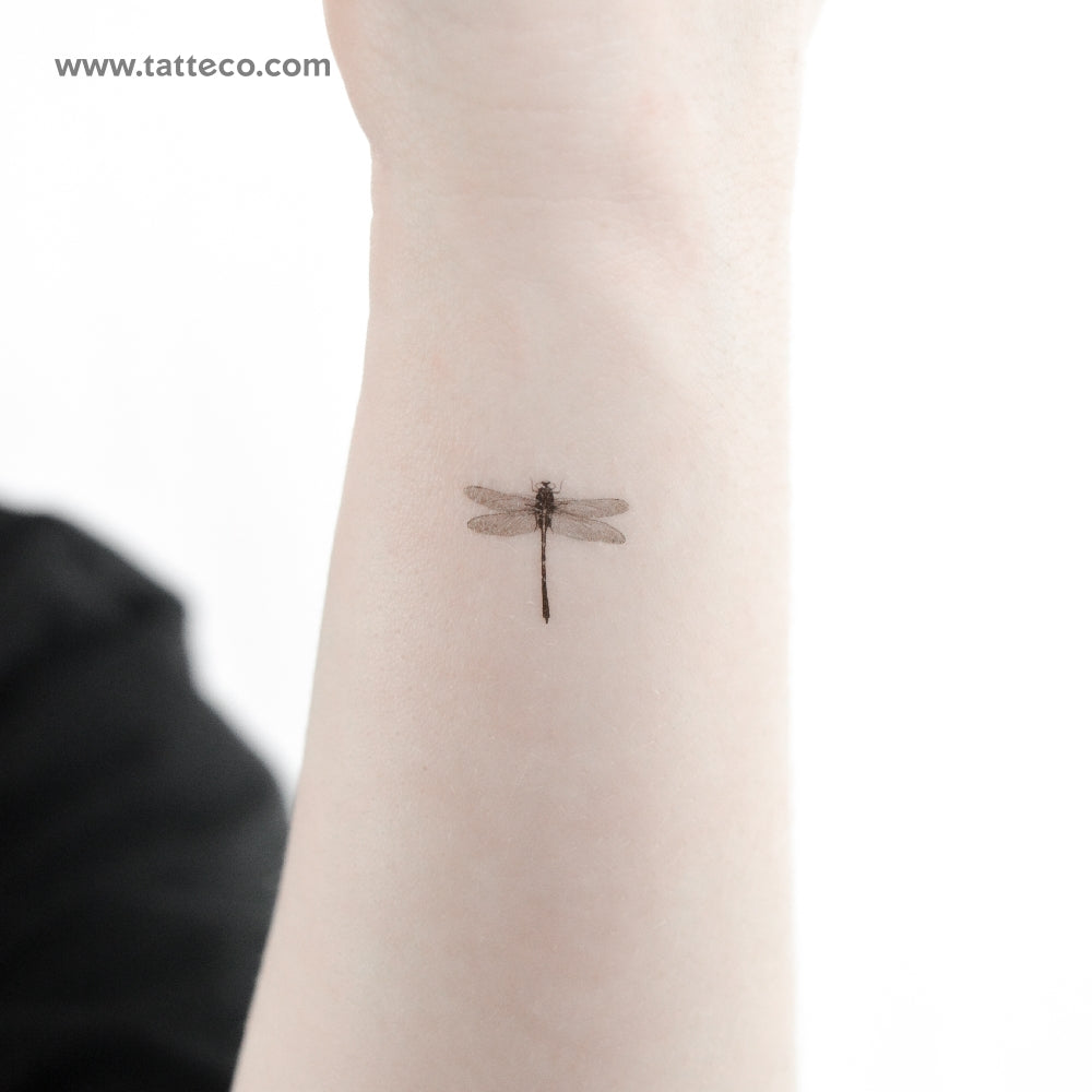 Little Dragonfly Temporary Tattoo - Set of 3