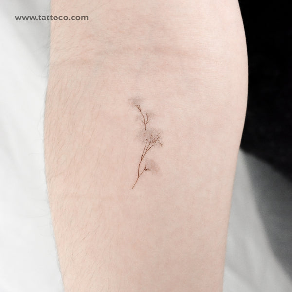 Small Watercolor Baby's Breath Temporary Tattoo - Set of 3