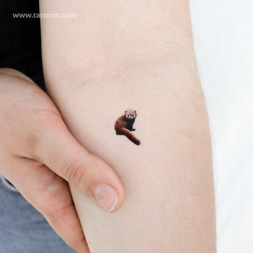 Red Panda Temporary Tattoo - Set of 3