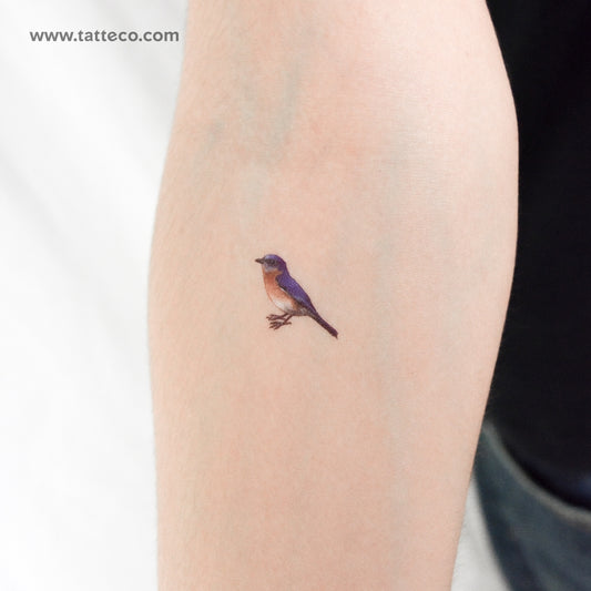 Eastern Bluebird Temporary Tattoo - Set of 3