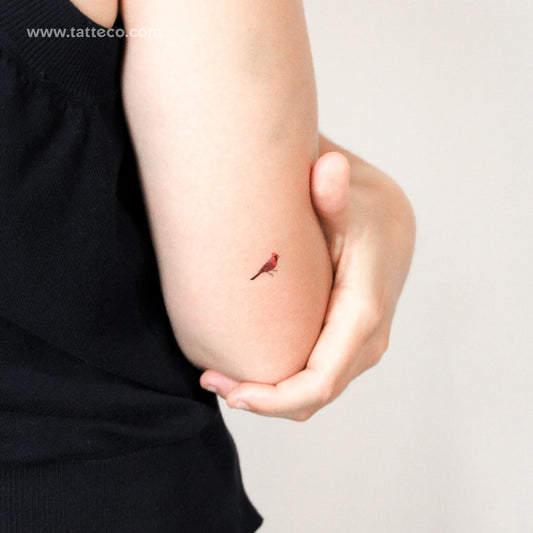 Cardinal Bird Temporary Tattoo - Set of 3