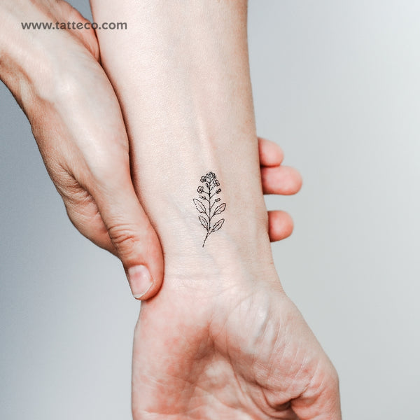 Mustard Plant Temporary Tattoo - Set of 3