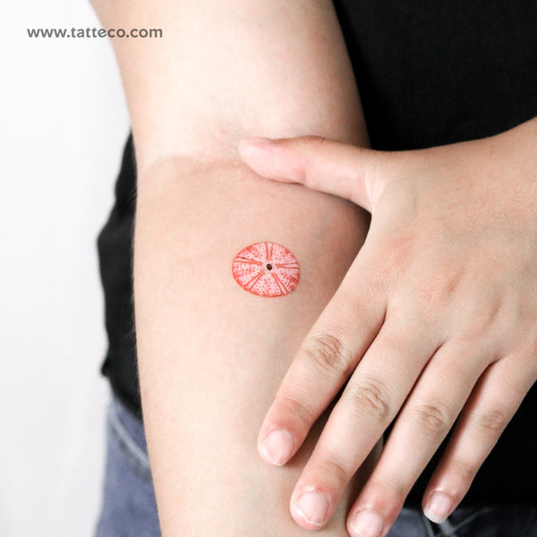 Red Sea Urchin Shell Temporary Tattoo - Set of 3