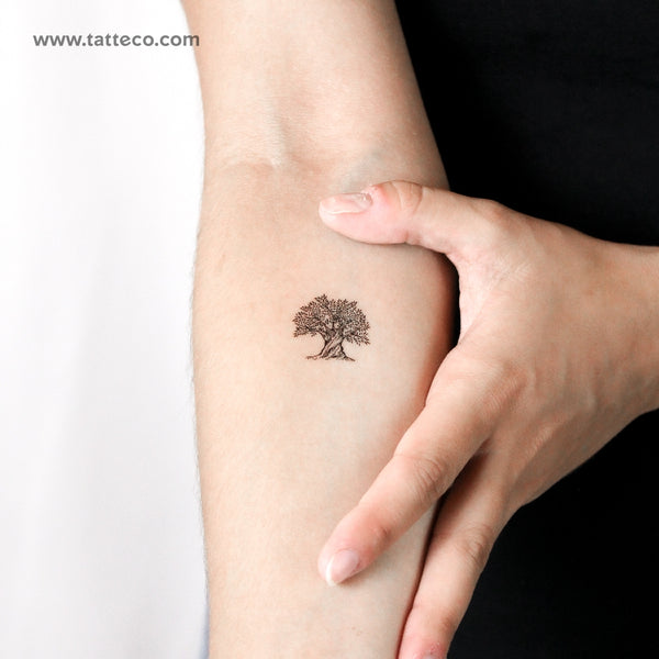 Olive Tree Temporary Tattoo - Set of 3