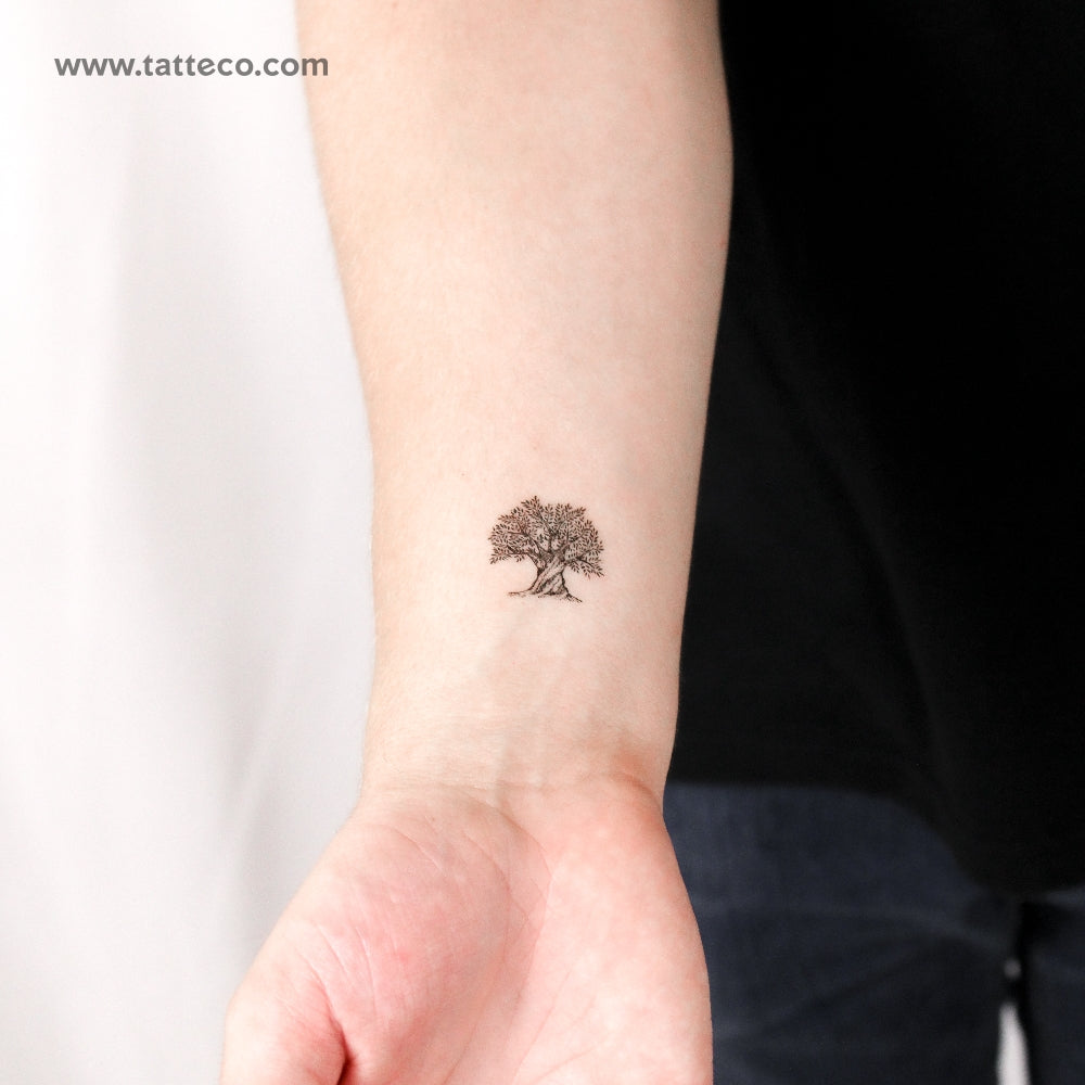 Olive Tree Temporary Tattoo - Set of 3