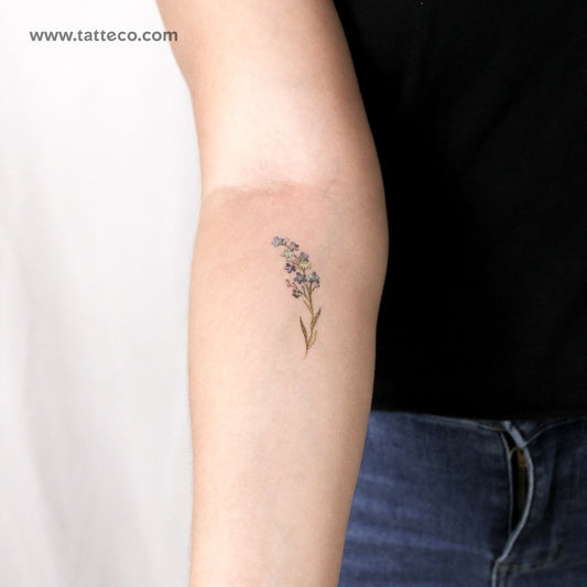 Tatuaje temporal de nomeolvides en acuarela (juego de 3)