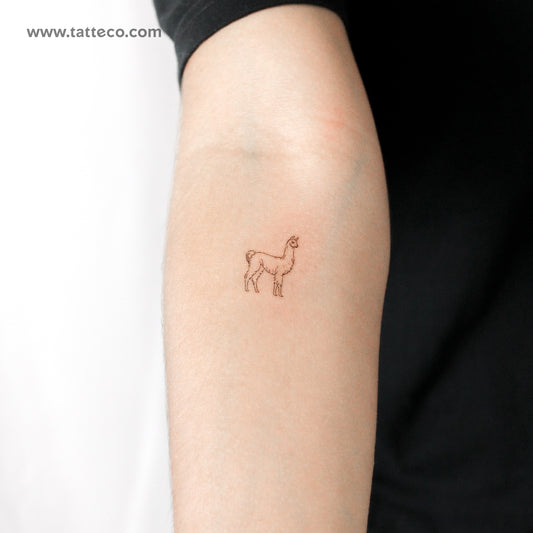 Tatuaje temporal de llama - Juego de 3