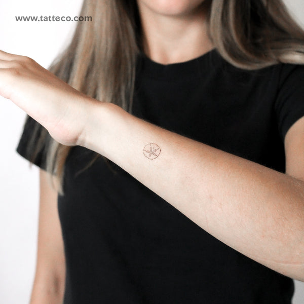 Tiny Sand Dollar Temporary Tattoo - Set of 3