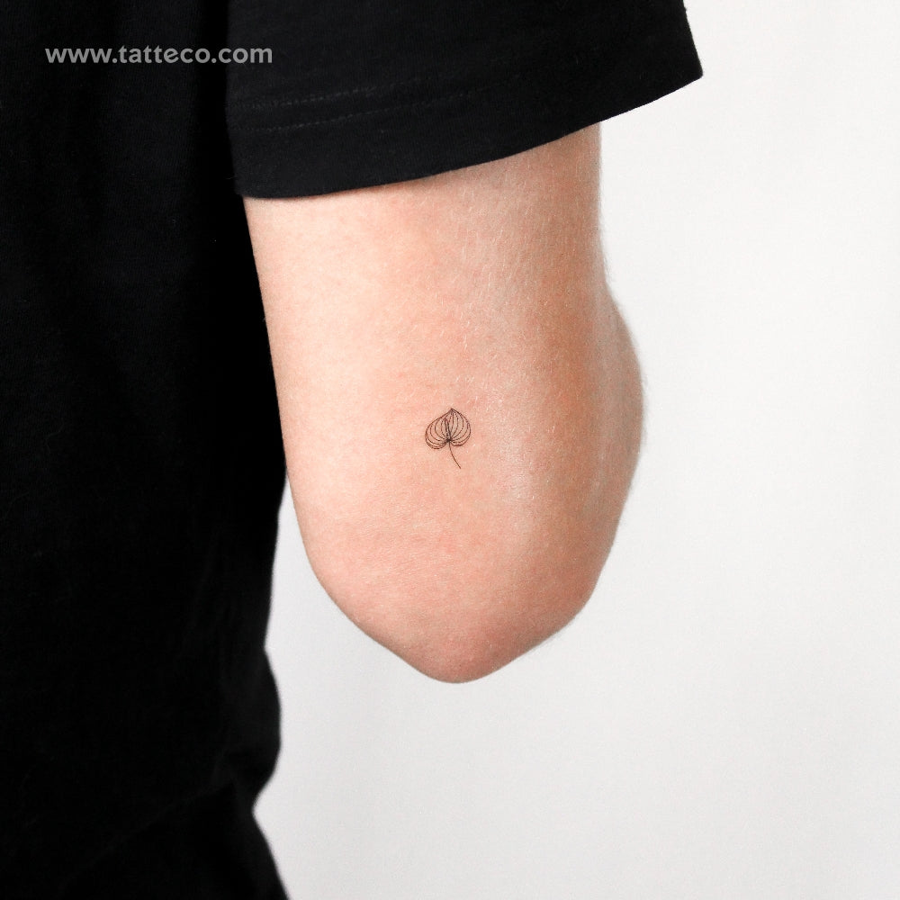 Little Anthurium Temporary Tattoo - Set of 3