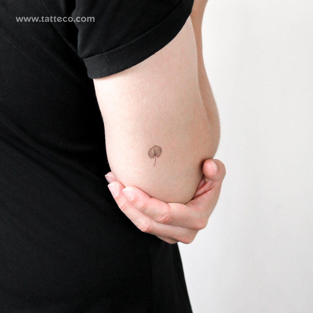 Anthurium Temporary Tattoo - Set of 3
