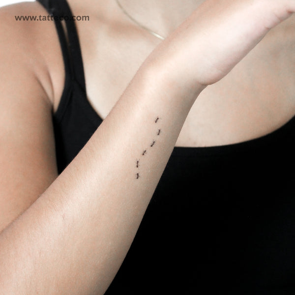 Ant Stock Temporary Tattoo - Set of 3