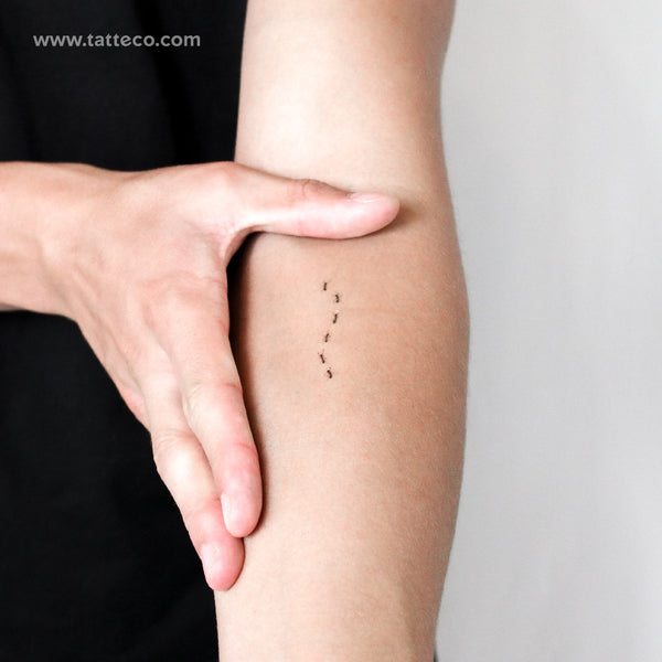 Ant Stock Temporary Tattoo - Set of 3