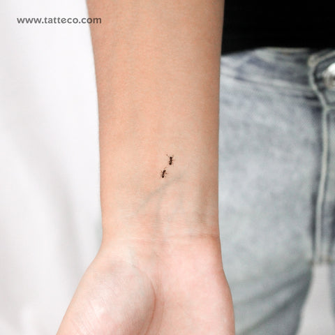 Ant Couple Temporary Tattoo - Set of 3