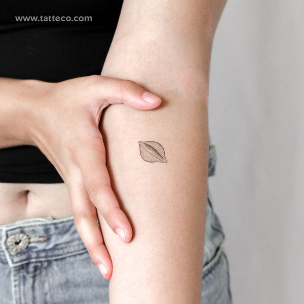 Conchiglie Pasta Temporary Tattoo - Set of 3