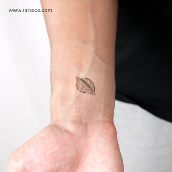 Conchiglie Pasta Temporary Tattoo - Set of 3