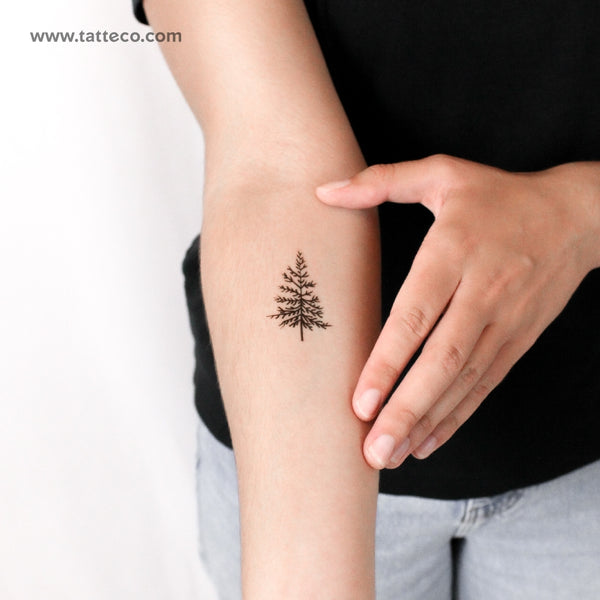 Pine Tree Temporary Tattoo - Set of 3
